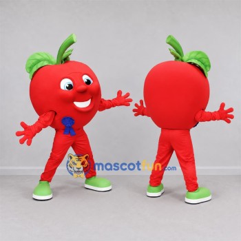 Custom Red Apple Mascot Costume Adult Full Body Suit for Healthy Eating Events