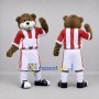 Custom Brown and Red Bear Mascot Costume Adult Full Body Suit for Sports Events