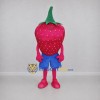 Custom Pink and Green Strawberry Mascot Costume Adult Full Body Suit for Food Festivals