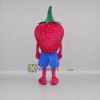 Custom Pink and Green Strawberry Mascot Costume Adult Full Body Suit for Food Festivals