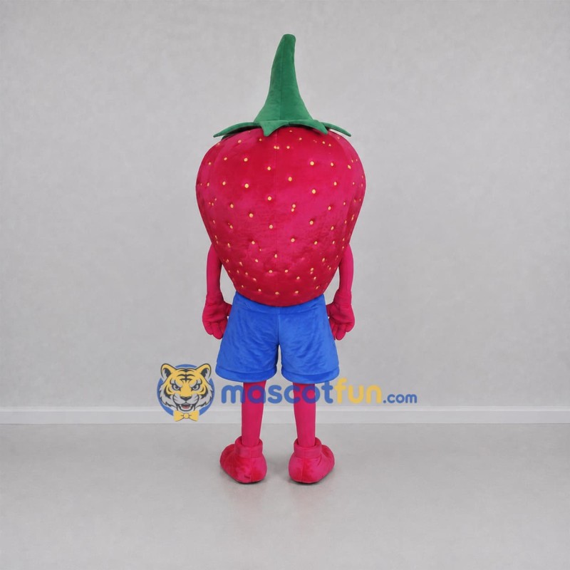 Custom Pink and Green Strawberry Mascot Costume Adult Full Body Suit for Food Festivals