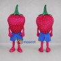 Custom Pink and Green Strawberry Mascot Costume Adult Full Body Suit for Food Festivals