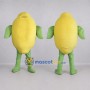 Custom Yellow and Green Lemon Mascot Costume Adult Full Body Suit for Food Festivals