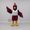 Custom Burgundy and Black Cardinal Bird Mascot Costume Adult Full Body Suit for Sports Events