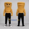 Custom Golden Brown Pancake Stack Mascot Costume Adult Full Body Suit for Food Festivals Custom Golden Brown Pancake Stack Mascot Costume Adult Full Body Suit for Food Festivals