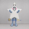 Custom White and Silver Star Mascot Costume Adult Full Body Suit for Holiday Events Custom White and Silver Star Mascot Costume Adult Full Body Suit for Holiday Events