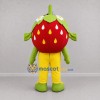 Custom Red and Green Strawberry Mascot Costume Adult Full Body Suit for Farmers Markets