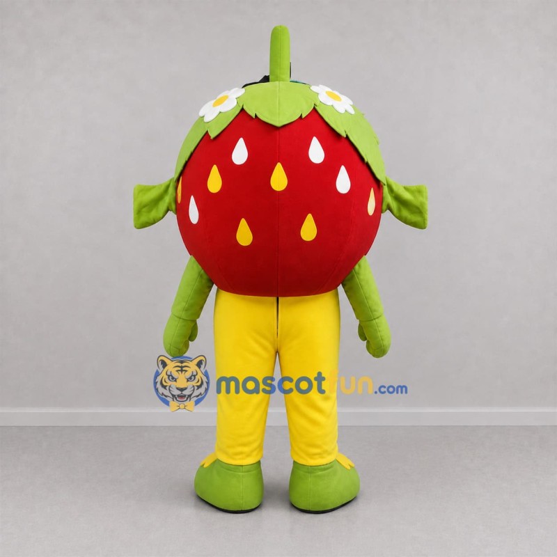 Custom Red and Green Strawberry Mascot Costume Adult Full Body Suit for Farmers Markets