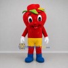 Custom Red and Yellow Strawberry Mascot Costume Adult Full Body Suit for Food Festivals