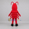 Custom Red Lobster Mascot Costume Adult Full Body Suit for Seafood Festivals