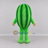 Custom Green Watermelon Mascot Costume Adult Full Body Suit for Farmers Markets