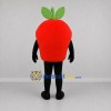 Custom Red and Green Fruit Mascot Costume Adult Full Body Suit for Farmers Markets
