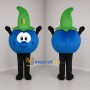 Custom Blue and Green Blueberry Mascot Costume Adult Full Body Suit for Farmers Markets