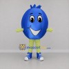 Custom Blue Blueberry Mascot Costume Adult Full Body Suit for Fruit Promotions