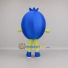 Custom Blue Blueberry Mascot Costume Adult Full Body Suit for Fruit Promotions