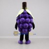 Custom Purple and Green Grape Bunch Mascot Costume Adult Full Body Suit for Harvest Festivals