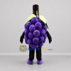 Custom Purple and Green Grape Bunch Mascot Costume Adult Full Body Suit for Harvest Festivals