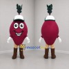 Custom Burgundy and Green Beetroot Mascot Costume Adult Full Body Suit for Farmers Market Events