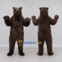 Custom Dark Brown Bear Mascot Costume Adult Full Body Suit for Wildlife Events