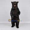 Custom Black Bear Mascot Costume Adult Full Body Suit for Wildlife Events Custom Black Bear Mascot Costume Adult Full Body Suit for Wildlife Events