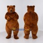 Custom Brown Bear Mascot Costume Adult Full Body Suit for Wildlife Events