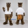 Custom Gray Brown and White Anteater Mascot Costume Adult Full Body Suit for Wildlife Events