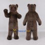 Custom Gray Brown Bear Mascot Costume Adult Full Body Suit for Wildlife Events