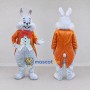 Custom Light Gray and Orange Rabbit in Tailcoat Mascot Costume Adult Full Body Suit for Easter Events
