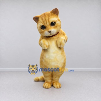Custom Orange and Cream Tabby Cat Mascot Costume Adult Full Body Suit for Pet Events Custom Orange and Cream Tabby Cat Mascot Costume Adult Full Body Suit for Pet Events