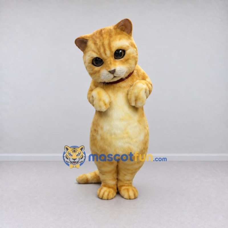 Custom Orange and Cream Tabby Cat Mascot Costume Adult Full Body Suit for Pet Events Custom Orange and Cream Tabby Cat Mascot Costume Adult Full Body Suit for Pet Events