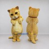 Custom Orange and Cream Tabby Cat Mascot Costume Adult Full Body Suit for Pet Events Custom Orange and Cream Tabby Cat Mascot Costume Adult Full Body Suit for Pet Events