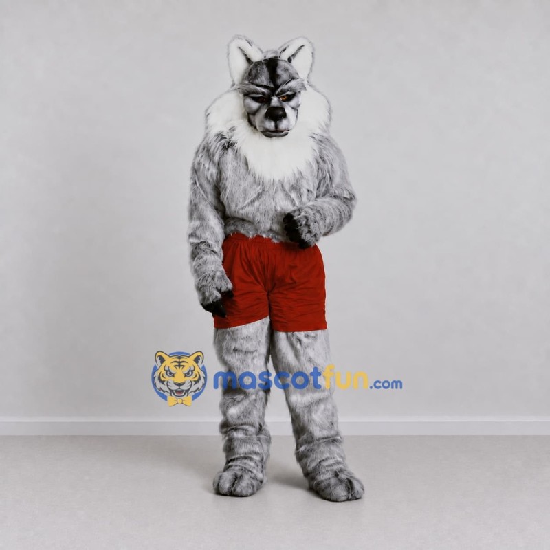Custom Gray and Red Wild Cat in Shorts Mascot Costume Adult Full Body Suit for Sports Events Custom Gray and Red Wild Cat in Shorts Mascot Costume Adult Full Body Suit for Sports Events