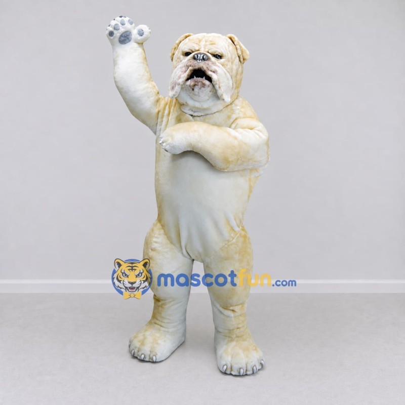 Custom Cream and White Bulldog Mascot Costume Adult Full Body Suit for Pet Events Custom Cream and White Bulldog Mascot Costume Adult Full Body Suit for Pet Events