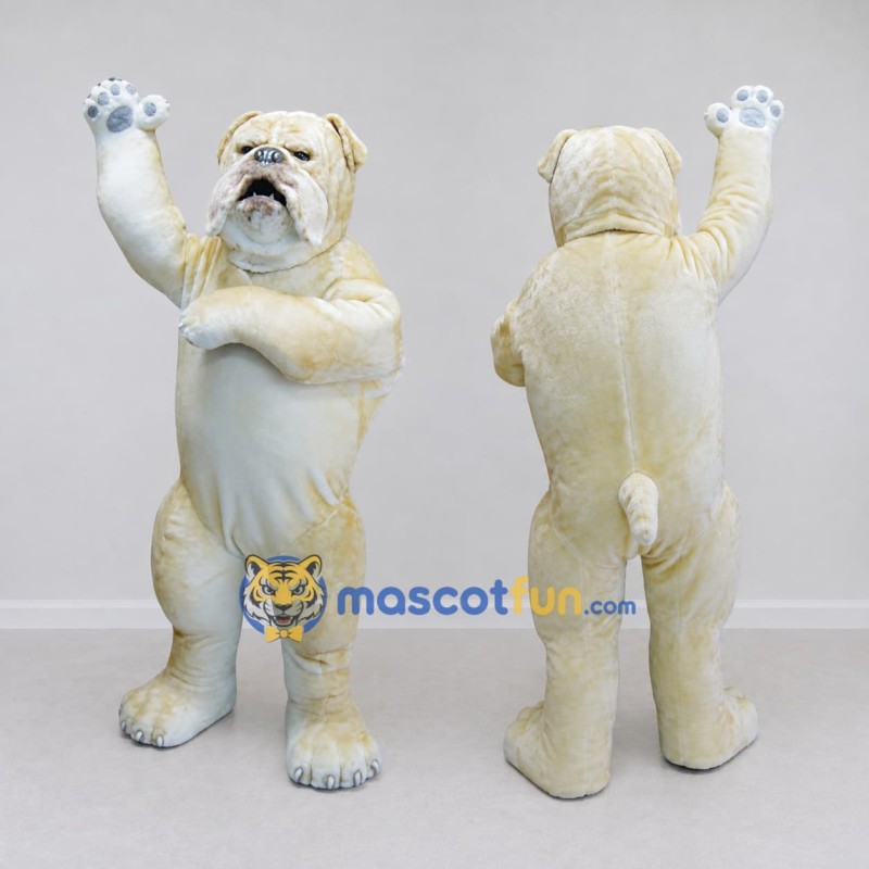 Custom Cream and White Bulldog Mascot Costume Adult Full Body Suit for Pet Events Custom Cream and White Bulldog Mascot Costume Adult Full Body Suit for Pet Events