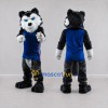 Custom Black White and Blue Husky in Sportswear Mascot Costume Adult Full Body Suit for Sports Events Custom Black White and Blue Husky in Sportswear Mascot Costume Adult Full Body Suit for Sports Events