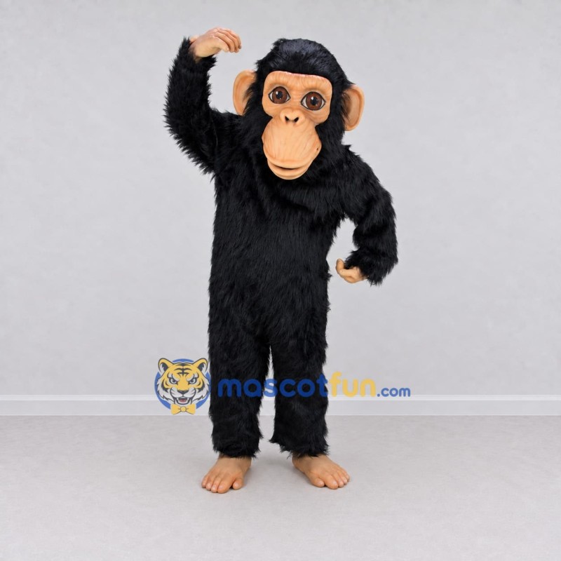 Custom Black and Tan Chimpanzee Mascot Costume Adult Full Body Suit for Wildlife Events Custom Black and Tan Chimpanzee Mascot Costume Adult Full Body Suit for Wildlife Events