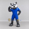Custom Gray and Blue Husky in Sportswear Mascot Costume Adult Full Body Suit for Sports Events Custom Gray and Blue Husky in Sportswear Mascot Costume Adult Full Body Suit for Sports Events