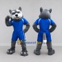 Custom Gray and Blue Husky in Sportswear Mascot Costume Adult Full Body Suit for Sports Events