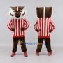 Custom Brown White and Red Badger in Striped Shirt Mascot Costume Adult Full Body Suit for Sports Events