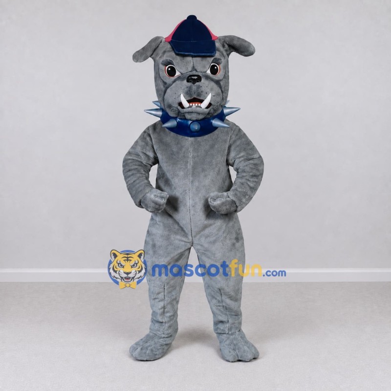 Custom Gray and Blue Bulldog in a Cap and Spiked Collar Mascot Costume Adult Full Body Suit for Sports Events Custom Gray and Blue Bulldog in a Cap and Spiked Collar Mascot Costume Adult Full Body Suit for Sports Events