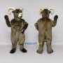 Custom Brown and Cream Ram Mascot Costume Adult Full Body Suit for Farm Events