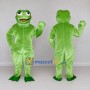 Custom Green Frog Character Mascot Costume Adult Full Body Suit for School Events