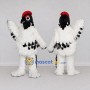 Custom Black and White Woodpecker Character Mascot Costume Adult Full Body Suit for Wildlife Events
