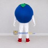 Custom Blue and Green Blueberry Character Mascot Costume Adult Full Body Suit for Food Festivals Custom Blue and Green Blueberry Character Mascot Costume Adult Full Body Suit for Food Festivals