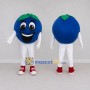 Custom Blue and Green Blueberry Character Mascot Costume Adult Full Body Suit for Food Festivals